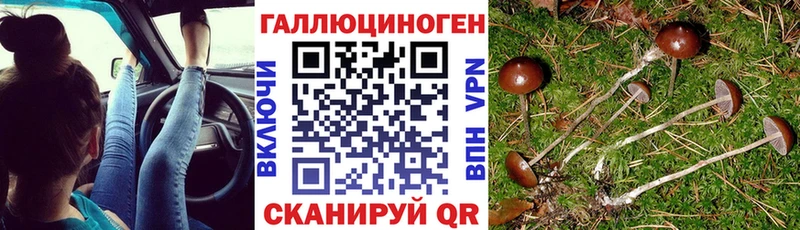 Псилоцибиновые грибы ЛСД  Трубчевск 