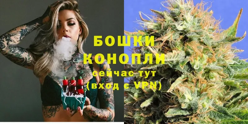 Бошки Шишки план  OMG как войти  Трубчевск 